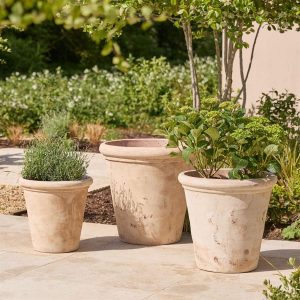Clayton Antique | Terracotta Plant Pot