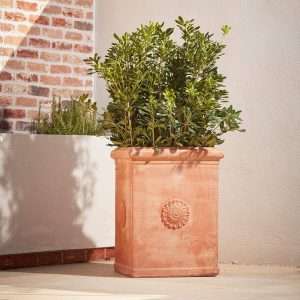 Rosetta Square | Italian Terracotta Plant Pot