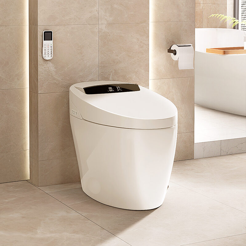 SMART TOILETS