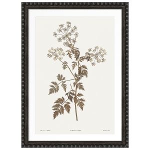 Sepia Floral III Framed Artwork with Bobble Frame