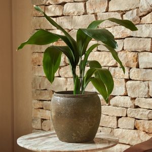 Julian Bronze | Indoor Plant Pot