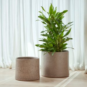 Torres | Indoor Plant Pot