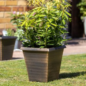 Black Bronze Biscotti Square Planter