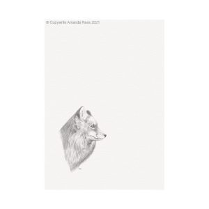 Fox Giclee Art Print