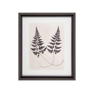 Vintage Ferns I Framed Picture