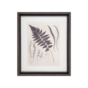 Vintage Ferns II Framed Picture