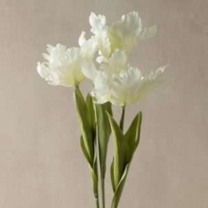 Faux White Parrot Tulip - Set of 3