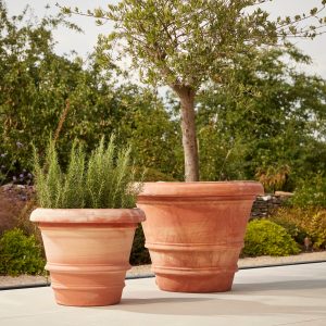 Verona Extra Large | Italian Terracotta Plant Pot