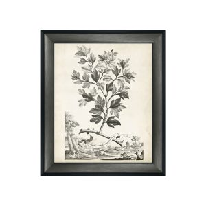 Botanical III Framed Picture