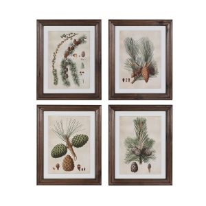 Set of 4 Pinecone Framed Prints